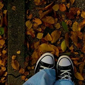 Meet your Posher, Teri